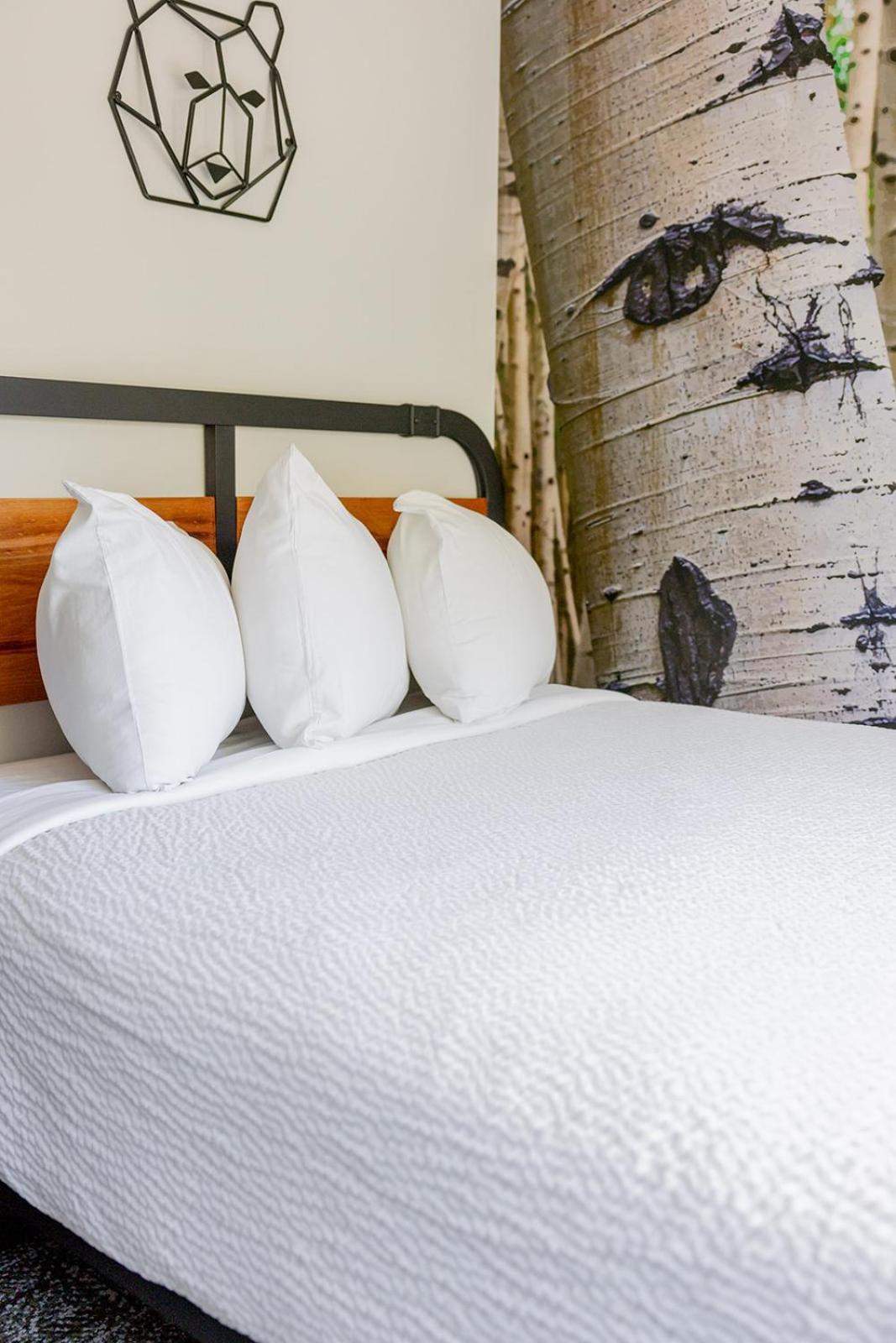 The Block Hotel & Commons Silverthorne Buitenkant foto